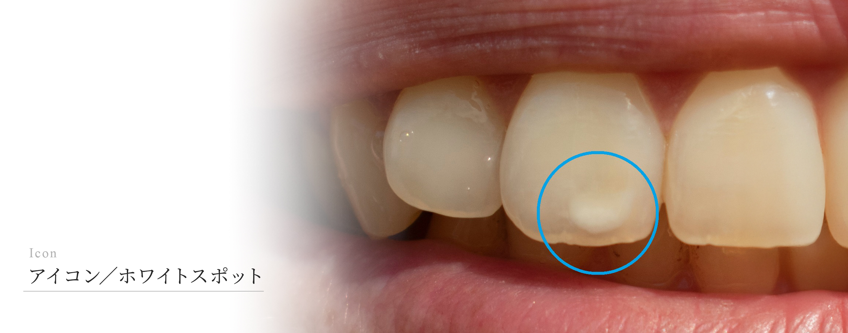 キービジュアル