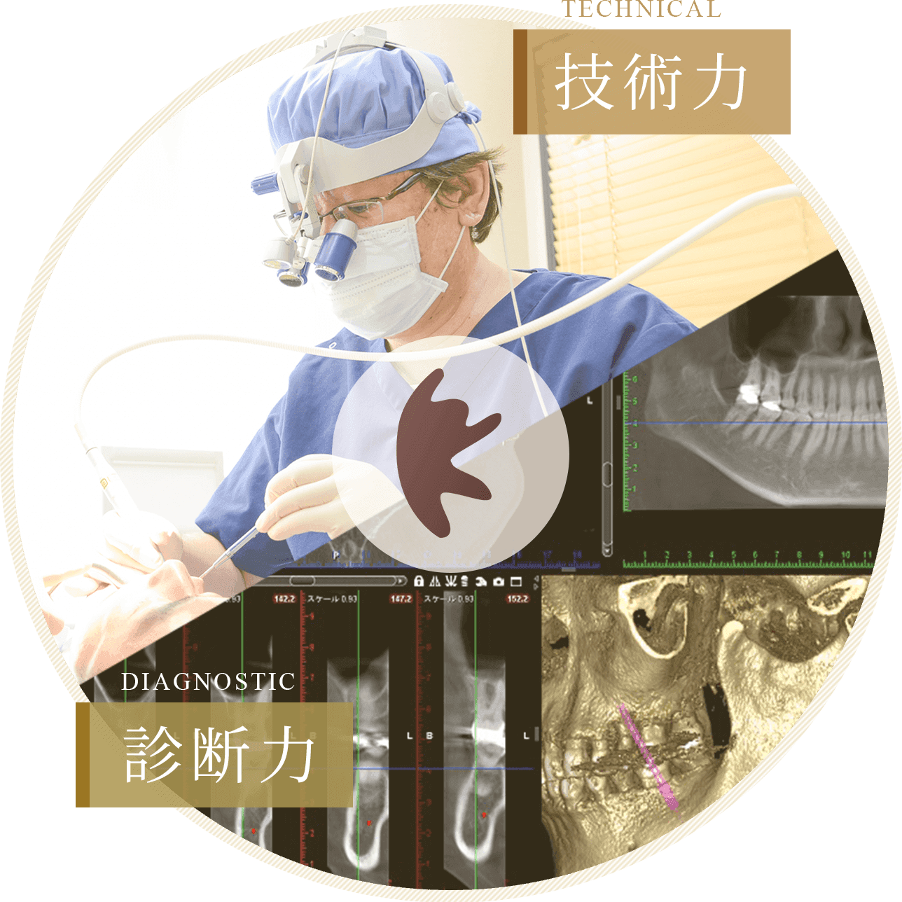 技術力・診断力