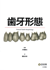 サティフィケイト